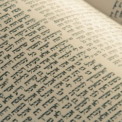 Resisting Authoritarianism: Jewish Ethics and Jewish Politics, from RRC Beit Midrash