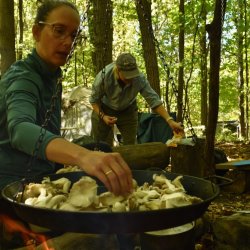 Forest Feast: Fall plants + mushrooms // Plantes d'automne et champignons