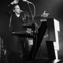 Elsham Hall's Live on the Lawn - The Fillers & Kind of Leon