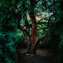 Reclaiming the Elements of Magic - (Witchcraft for Therapists)