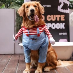 POP+BARK's Ulti-Mutt Halloween Dog Cafe - London