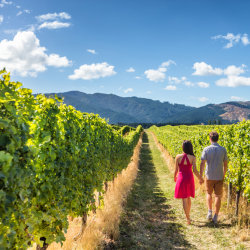 Golden State: A California Walkaround with Christopher Beros