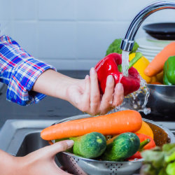 Food Safety Training (Level 2)