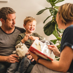 EMDR Storytelling Online Teaching Consultation July 2026