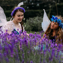 Fairy Holiday School: 🪻🌼Lavender's Gardening School