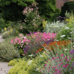 The Long Season Border- A Practical Guide to Succession.