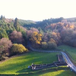 Guided Peatlands Walk