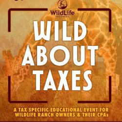 Wild About Taxes Materials & Full Day Recording