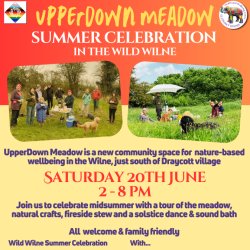 Summer Celebration at Upperdown Meadow