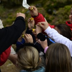 Scienziati per un giorno - Laboratorio per bambini