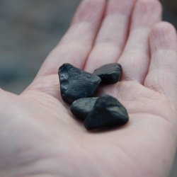 Three pieces of black Whitby jet in an outstretched hand