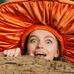 The Mushroom Show