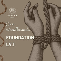 Foundation Lv.1