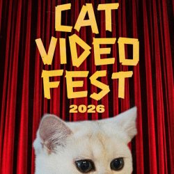 Cat Video Fest 2026