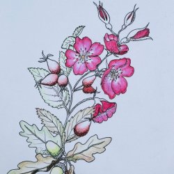 AFFORDABLE ART IN THE PARK (Launch Night-VIP INVITE ONLY)