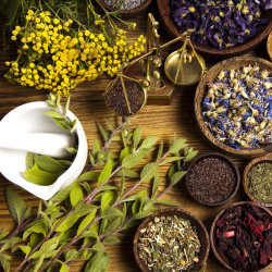 Home & Community Herbalist Group