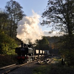9681 on pick up goods at the Dean Forest railway