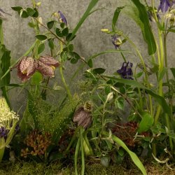Autumn Equinox Gathering with Amanda Randell Cox