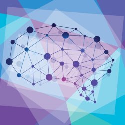 Live Virtual Course:  Functional Cognition: Overview of Executive Function, Memory, Self-Awareness (Fall, 2026)