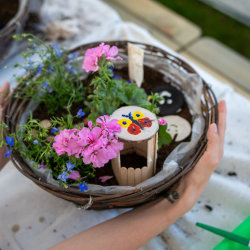 School for Creative Thinkers Half-Term Camp & Workshops