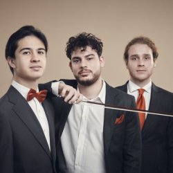 Trio Concept