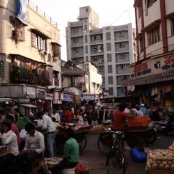 Sticky Hierarchies: How Caste Norms Bound Gender Progress in India