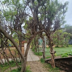 The Seashell Garden — Session 2: Mud Kitchen Magic