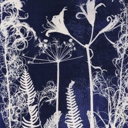 Summer Evening Taster Sessions - Cyanotype