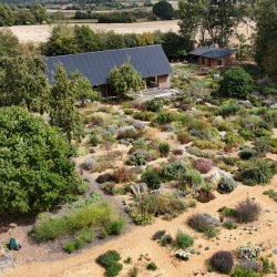 Untangling Plants: St Andrews Botanic Garden and Tom Stuart-Smith Studio CPD Sessions (Weds 1, Thurs 2, Fri 3 July 2026)