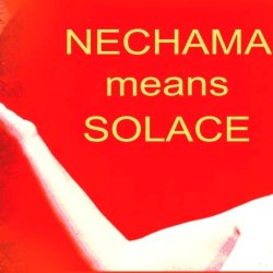 Nechama Means Solace