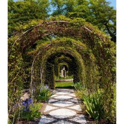 Mindful Photography - Sundays