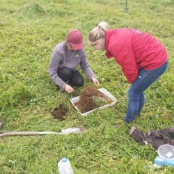 It all starts with the soil