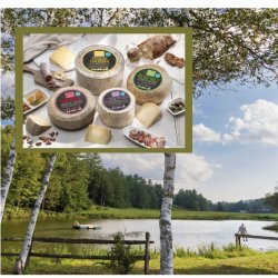 Cave aged cheese wheels with picnic area.