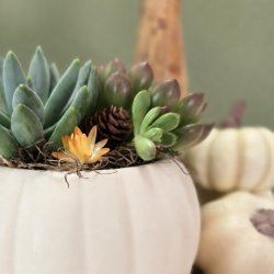 Sunshine Blooms & Brunch | September 12