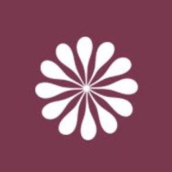 BEGINNER - Adult Summer Intensive 2026
