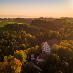 GreenPulse Festival 2026