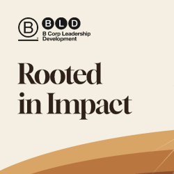 BLD Mountain West Rooted in Impact