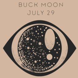 Buck Moon - Moonrise Picnic
