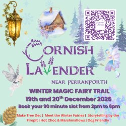Winter Magic at Cornish Lavender
