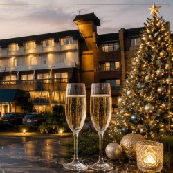 Christmas Party Night