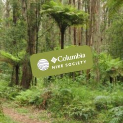COMING SOON | Mt Everard Circuit, Kinglake National Park || VIC