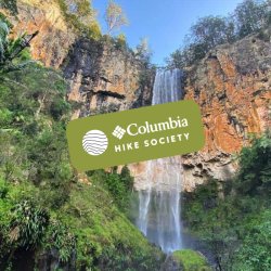 Purling Brook Falls, Springbrook National Park || QLD
