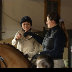 Lusitano horse fair horse guided tour by night
