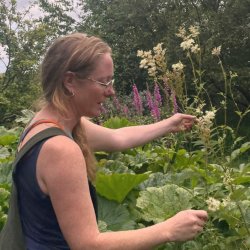 Wild Medicine - a herbal walk and workshop