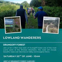 Lowland Wanderers: Drumgoff Forest