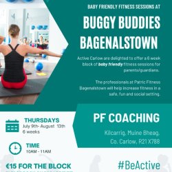 Buggy Buddies Bagenalstown
