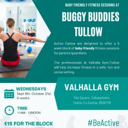 Buggy Buddies - Tullow