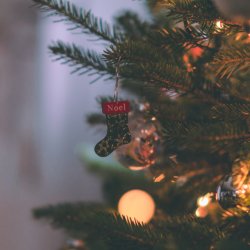 🎄🎄 Join the waitlist for The Mama Tree Christmas One! 🎄🎄