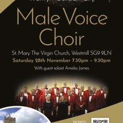 Poster for WGCmvc