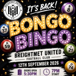 Bongo Bingo